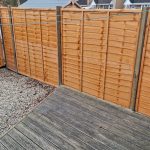 tree services Cambridgeshire
