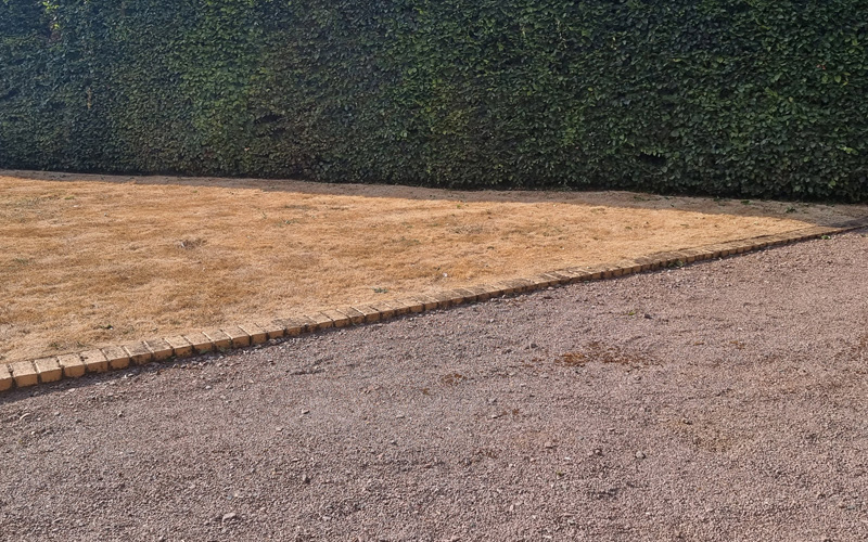 hedge patio