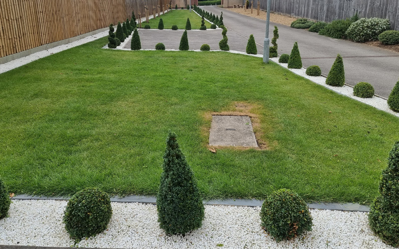 stump removal Ely